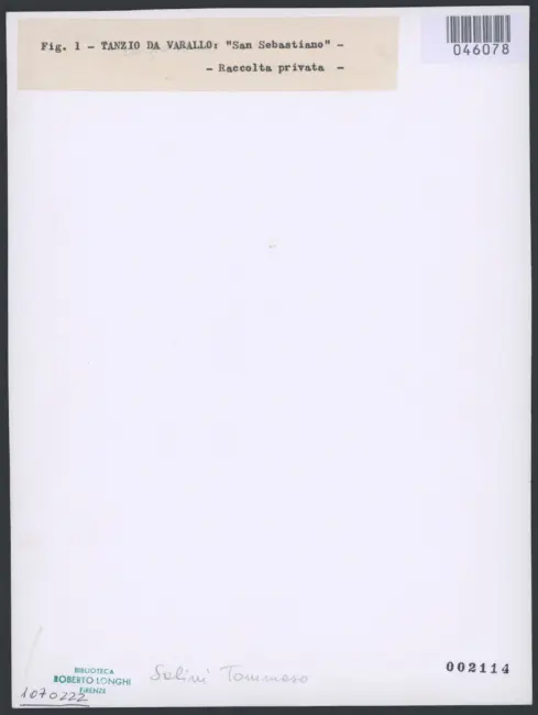 Fig. 1 - Tanzio da Varallo: "San Sebastiano" - Raccolta privata -
