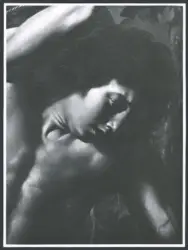 Fig. 2 - Tanzio da Varallo: "San Sebastiano" (particolare) - Raccolta privata -