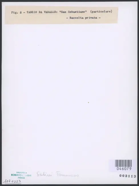 Fig. 2 - Tanzio da Varallo: "San Sebastiano" (particolare) - Raccolta privata -
