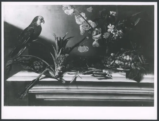 Salini Tommaso (Mao Salini) - sec. XVI/ XVII - Natura morta con carciofi, ciliegie, vaso di fiori e pappagallo