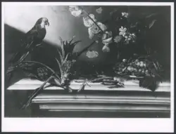 Salini Tommaso (Mao Salini) - sec. XVI/ XVII - Natura morta con carciofi, ciliegie, vaso di fiori e pappagallo