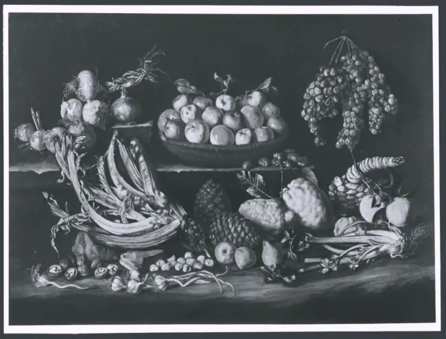 Salini Tommaso (Mao Salini) - sec. XVI/ XVII - Natura morta con frutta e ortaggi