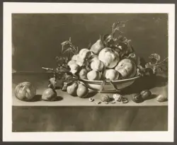 Salini Tommaso (Mao Salini) - sec. XVI/ XVII - Natura morta con piatto di frutta e noci
