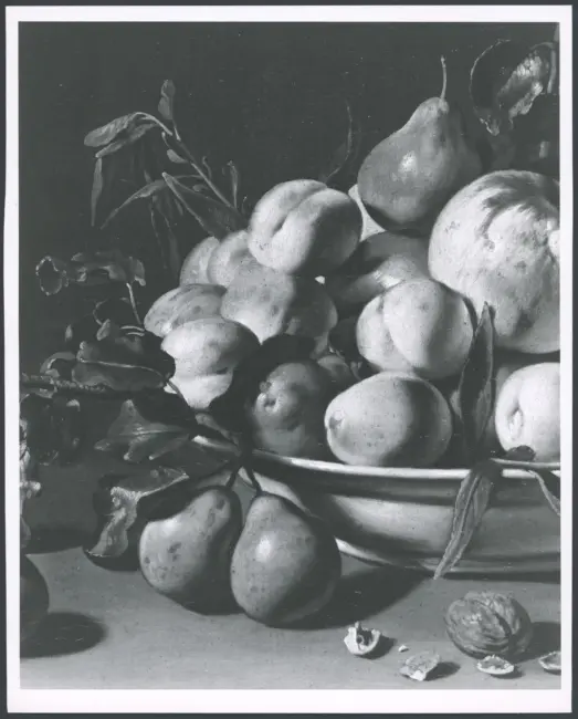 Salini Tommaso (Mao Salini) - sec. XVI/ XVII - Natura morta con piatto di frutta e noci