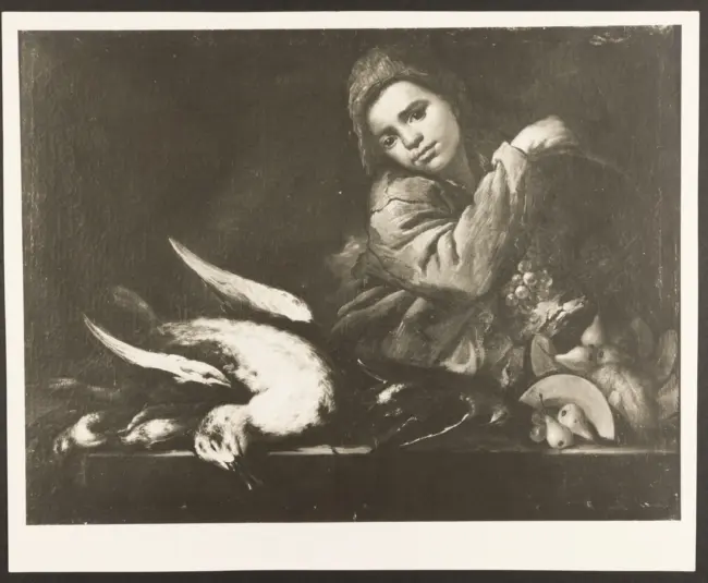 Salini Tommaso (Mao Salini) (?) - sec. XVI/ XVII - Natura morta con uccelli e ragazzo con cesto di frutta