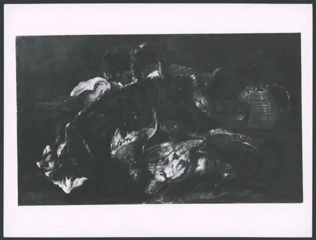 Salini Tommaso (Mao Salini) - sec. XVI/ XVII - Natura morta con cesto e pollame