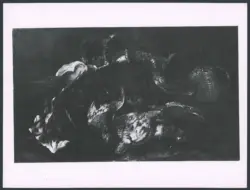 Salini Tommaso (Mao Salini) - sec. XVI/ XVII - Natura morta con cesto e pollame