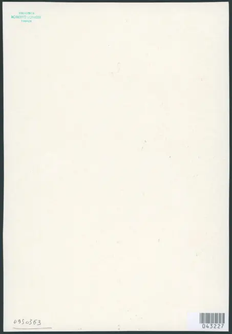 Merisi Michelangelo (Caravaggio) - sec. XVII - Deposizione di Cristo nel sepolcro