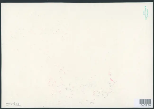 Merisi Michelangelo (Caravaggio) - sec. XVII - Deposizione di Cristo nel sepolcro