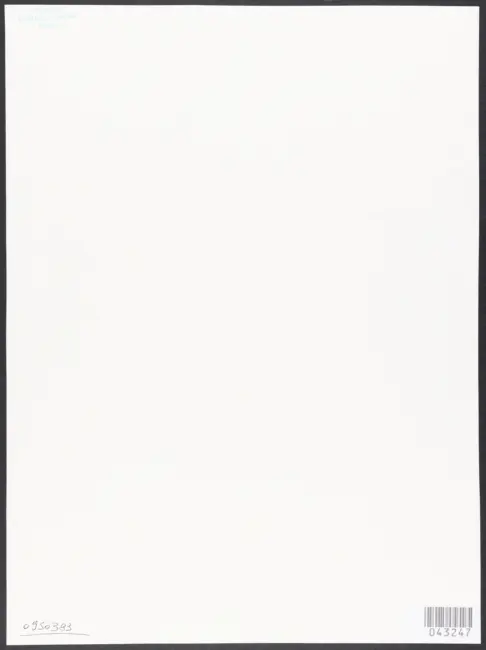 Merisi Michelangelo (Caravaggio) - sec. XVII - Madonna del Rosario