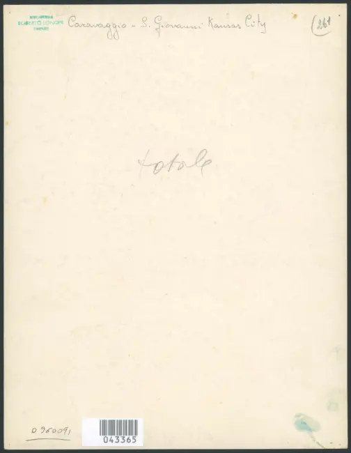 Napoli - S. Giovanni Battista nel deserto - Caravaggio - Museo Nazionale