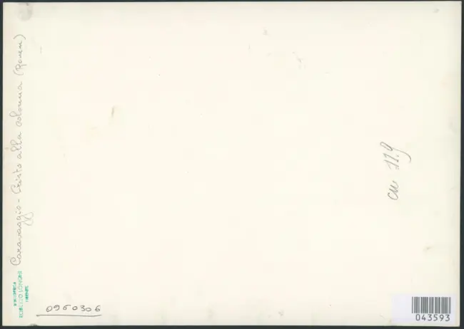 Merisi Michelangelo (Caravaggio) - copia da - sec. XVII - Flagellazione di Cristo