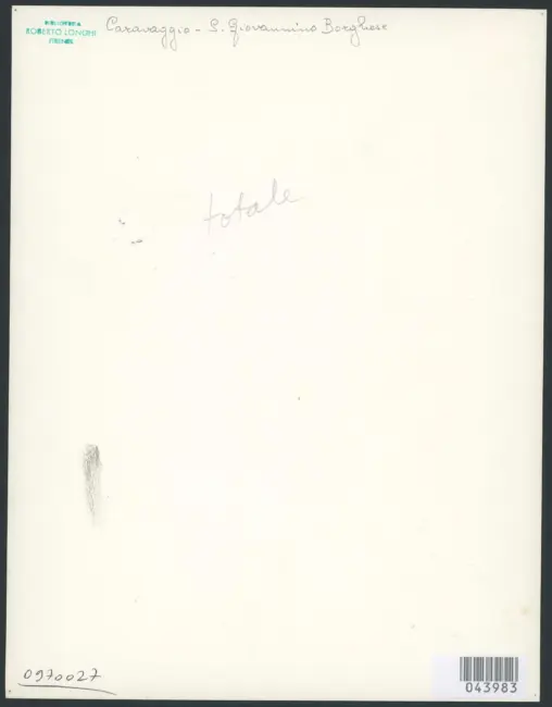 Roma - S. Giovanni nel deserto - Caravaggio - Galleria Borghese