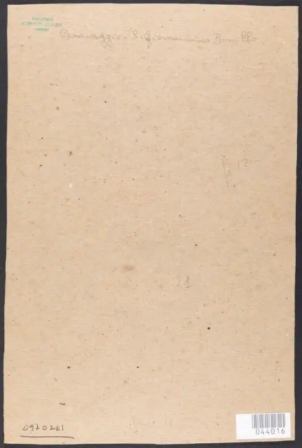 Kaiserl. Gemälde-galerie in Wien. Pedro Orrente. Johannes der Täufer
