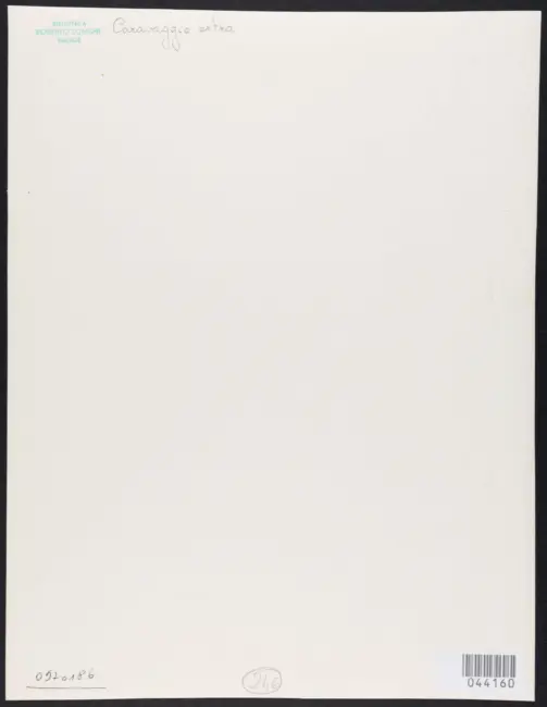 Merisi Michelangelo (Caravaggio) - sec. XVII - Madonna del Rosario