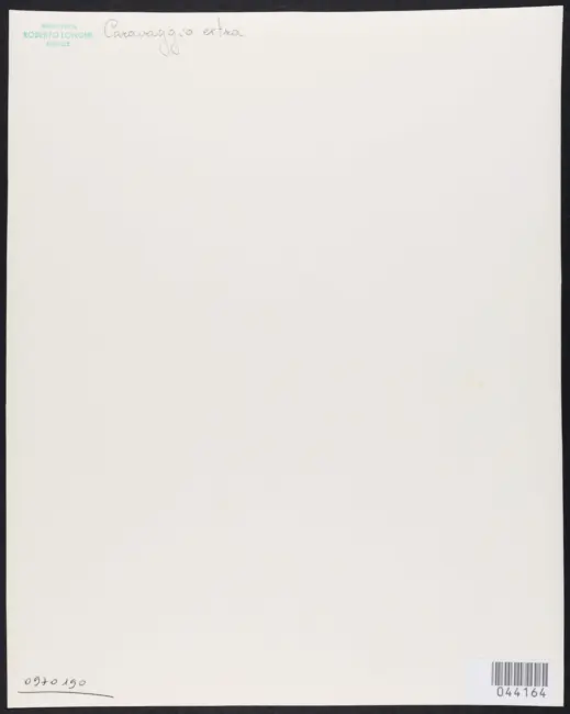 Merisi Michelangelo (Caravaggio) - sec. XVI - San Giovanni Battista con agnello e fiori