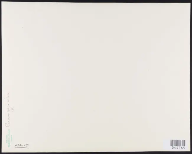 Merisi Michelangelo (Caravaggio) - sec. XVI - San Giovanni Battista con agnello e fiori