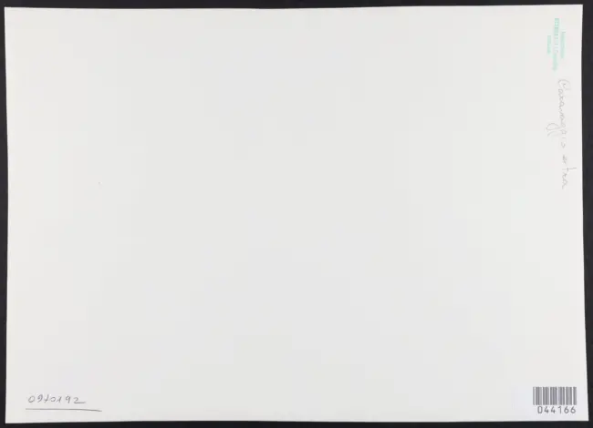 Merisi Michelangelo (Caravaggio) - sec. XVII - San Giovanni Battista nel bosco