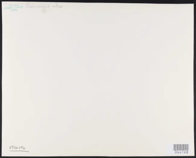 Merisi Michelangelo (Caravaggio) - sec. XVI - Cena in Emmaus