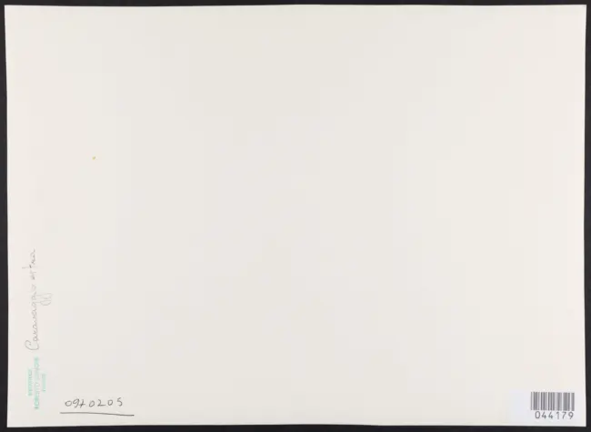 Merisi Michelangelo (Caravaggio) - sec. XVI - San Francesco d'Assisi riceve le stimmate