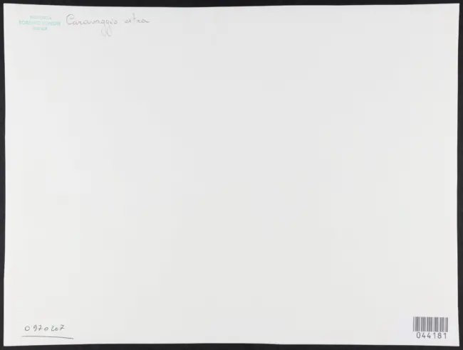 Merisi Michelangelo (Caravaggio) - sec. XVI/ XVII - Flagellazione di Cristo