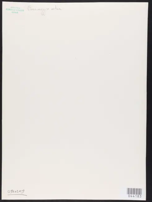 Merisi Michelangelo (Caravaggio) - sec. XVI - Ritratto di Maffei Barberini