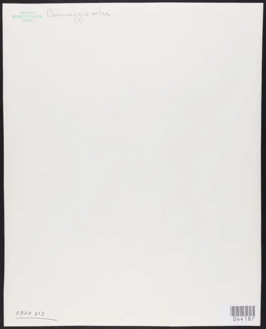 Merisi Michelangelo (Caravaggio) - sec. XVII - David con la testa di Golia