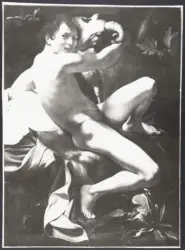 Merisi Michelangelo (Caravaggio) - sec. XVII - San Giovanni Battista